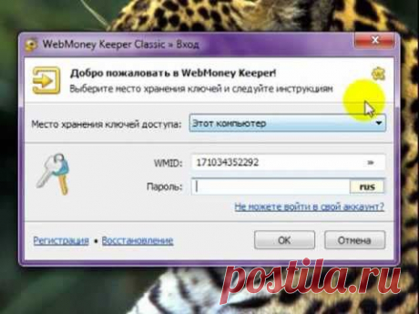 ⋙Как перейти из вебмани мини в  WebMoney кипер классик?