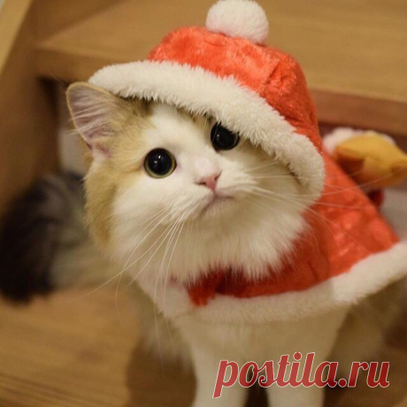 С Новым Годом!!!
