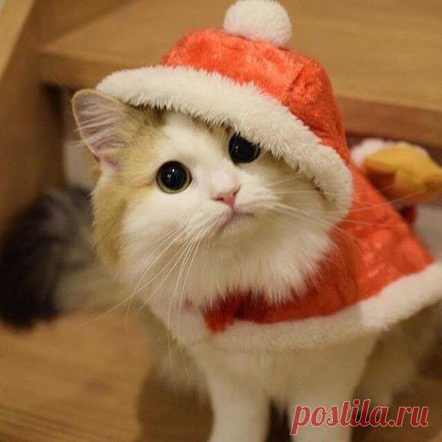 С Новым Годом!!!