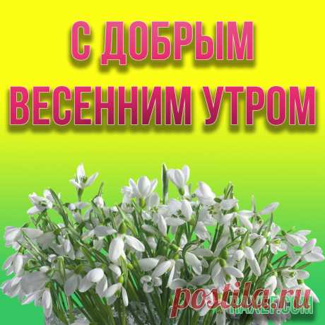 Открытки с добрым утром весенние! Картинки доброе весеннее утро! Доброе весеннее утро! Картинка с сердечками на... | Страница 4