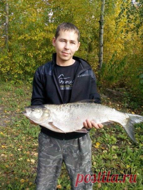 20.09.2014 жерех 4кг / Богатая добыча