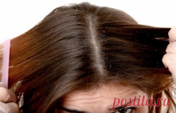 Яичная маска для волос: видео-инструкция как приготовить своими руками, особенности применения в домашних условиях, цена, фото