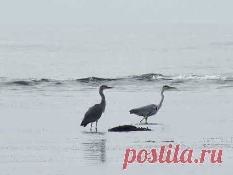 Фотографии Наталья Ляхова | 1303 фото