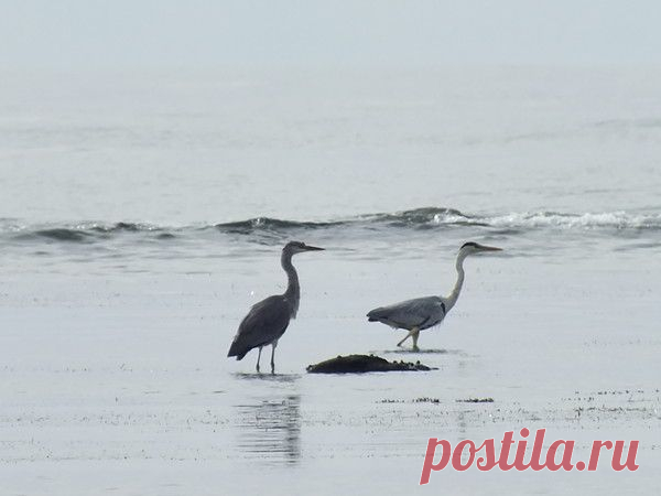 Фотографии Наталья Ляхова | 1303 фото