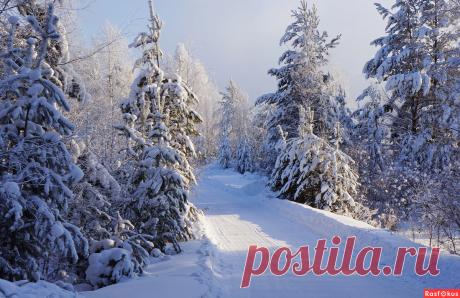 Фото: Февраль в Сибири.. Фотолюбитель Галина Подлопушная. Природа - Фотосайт Расфокус.ру
