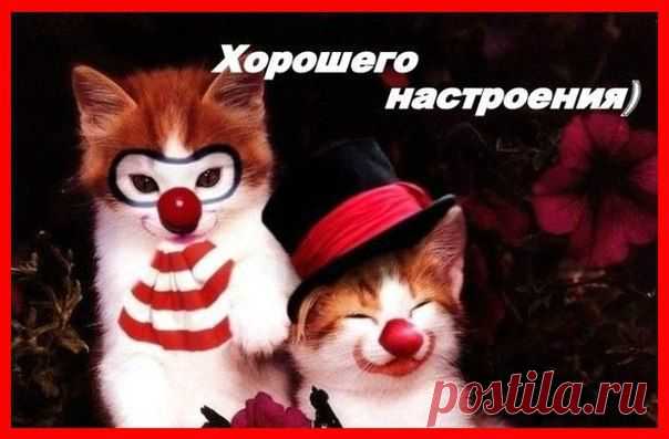 Интересные новости