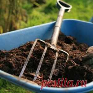 Как из опавшей листвы сделать ценное удобрение