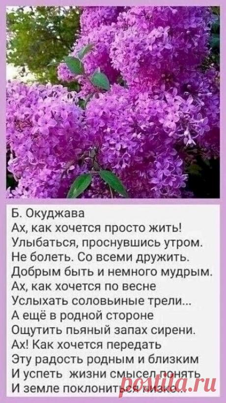 Выпуск №6342 - выпуск анекдотов сайта вокруг смеха