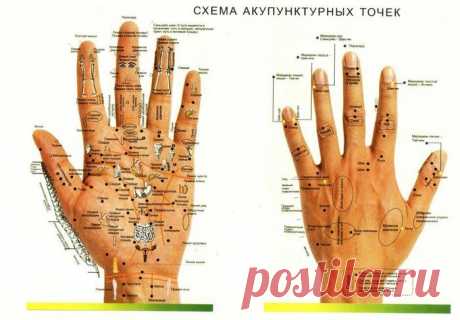 Болезни человека на его руках