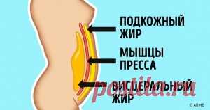 6 упражнений для плоского живота, которые можно делать прямо на стуле