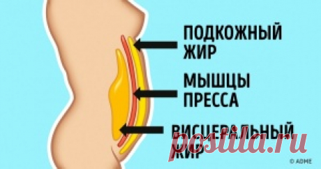6 упражнений для плоского живота, которые можно делать прямо на стуле