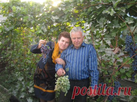 Николай Пхиденко
67 лет, Россия, г. Фролово (Фроловский район)