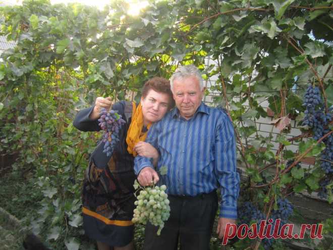 Николай Пхиденко
67 лет, Россия, г. Фролово (Фроловский район)