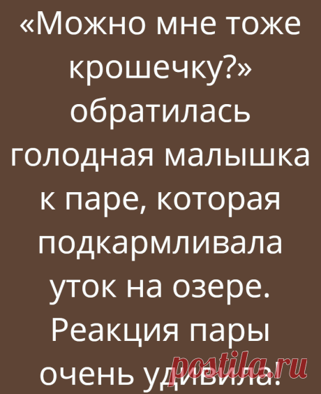 «Можно мне тоже крошечку?» обратилась голодная малышка к паре, которая подкармливала уток на озере. Реакция пары очень удивила!
История, которую мы вам сегодня поведаем, про добро, про любовь, сострадание и милосердие, а также про жестокость и бессердечность людей. И ведь так бывает… Антон собирался сделать Вале предложение, они встречались уже год. Вале было 32, а Антону 37. Антон долго шёл к...
Читай дальше на сайте. Жми подробнее ➡