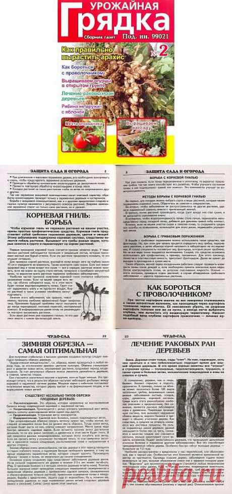 Урожайная грядка №2 2014.