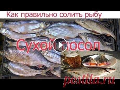 ТОП 1 ЛУЧШИЙ В МИРЕ РЕЦЕПТ ЗАСОЛА ТАРАНИ! КАК ПРАВИЛЬНО И ВКУСНО СОЛИТЬ СУХИМ ПОСОЛОМ ЛЮБУЮ РЫБУ. В этом ролике я покажу как правильно солить рыбу сухим посолом и я считаю что таким способом приготовления вяленой рыбы выходит вкуснее всего особенно...
