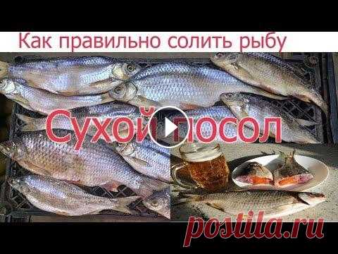 ТОП 1 ЛУЧШИЙ В МИРЕ РЕЦЕПТ ЗАСОЛА ТАРАНИ! КАК ПРАВИЛЬНО И ВКУСНО СОЛИТЬ СУХИМ ПОСОЛОМ ЛЮБУЮ РЫБУ. В этом ролике я покажу как правильно солить рыбу сухим посолом и я считаю что таким способом приготовления вяленой рыбы выходит вкуснее всего особенно...