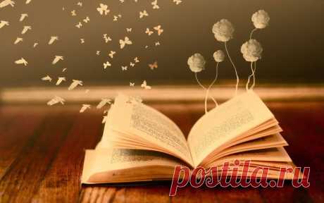 ′′ Я думаю, что хорошая книга - хорошая книга навсегда.
Я не думаю, что они становятся менее хорошими, потому что времена меняются."
- Меган Уэйлен Тернер