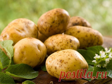 Уменьшаем содержание нитратов в продуктах: 5 полезных советов / Будьте здоровы