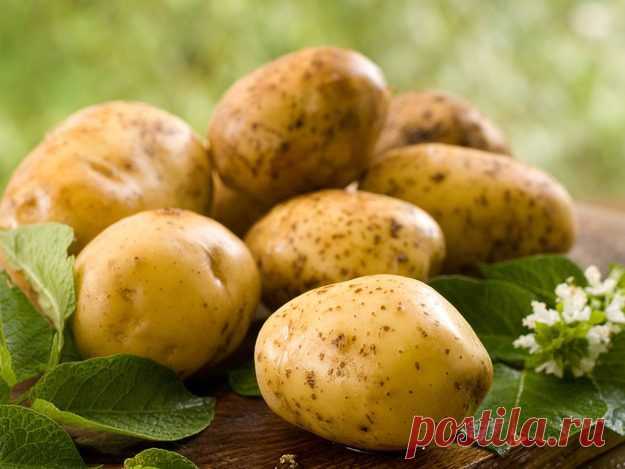 Уменьшаем содержание нитратов в продуктах: 5 полезных советов / Будьте здоровы