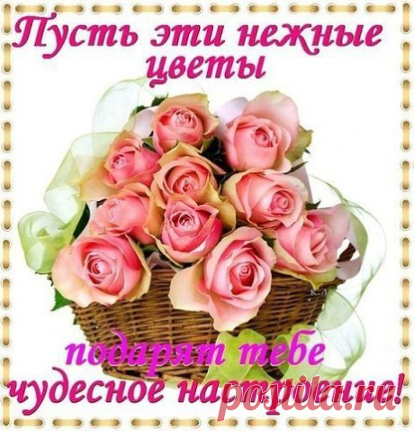 ПОЗДРАВЛЕНИЯ!!!
❀❀СВЕТЛАНА❀ ❀