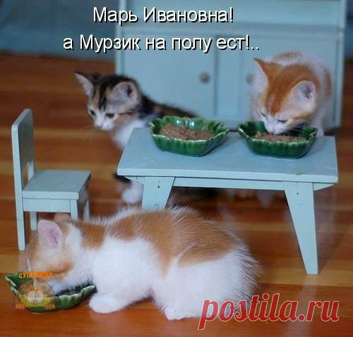 Дмитрий Ларьков