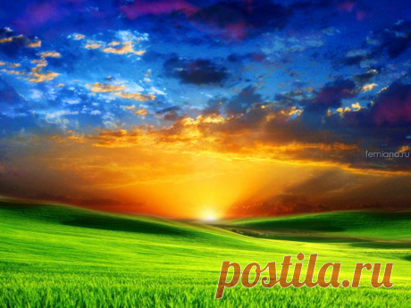 Все об ощелачивании и окислении организма | FEMIANA