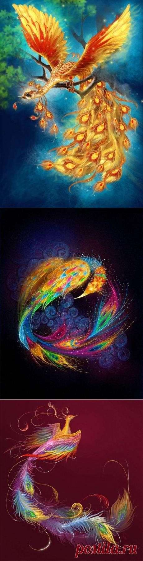 Яндекс.Фотки