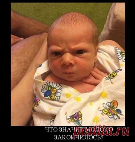 Веселое настроение на весь день! Юмор