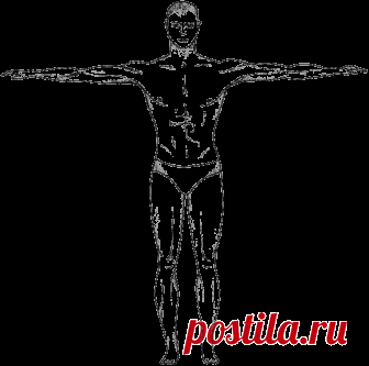 Древние секреты тибетских монахов. Комплекс упражнений из шести ритуальных действий