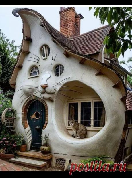 Изображение пина-истории