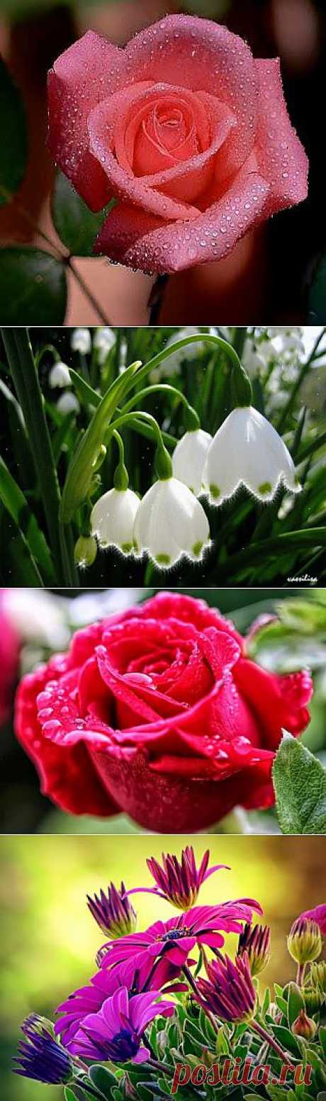 Alex Timka – Google+
