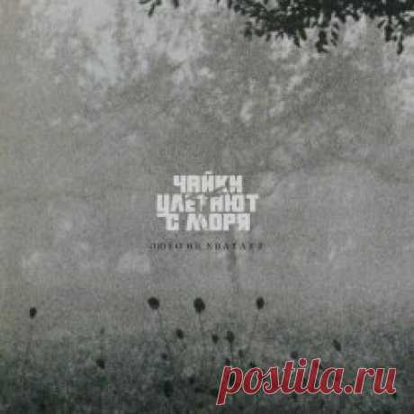 Чайки Улетают С Моря - Люто Не Хватает (Bandcamp Edition) (2025) Artist: Чайки Улетают С Моря Album: Люто Не Хватает (Bandcamp Edition) Year: 2025 Country: Russia Style: Coldwave