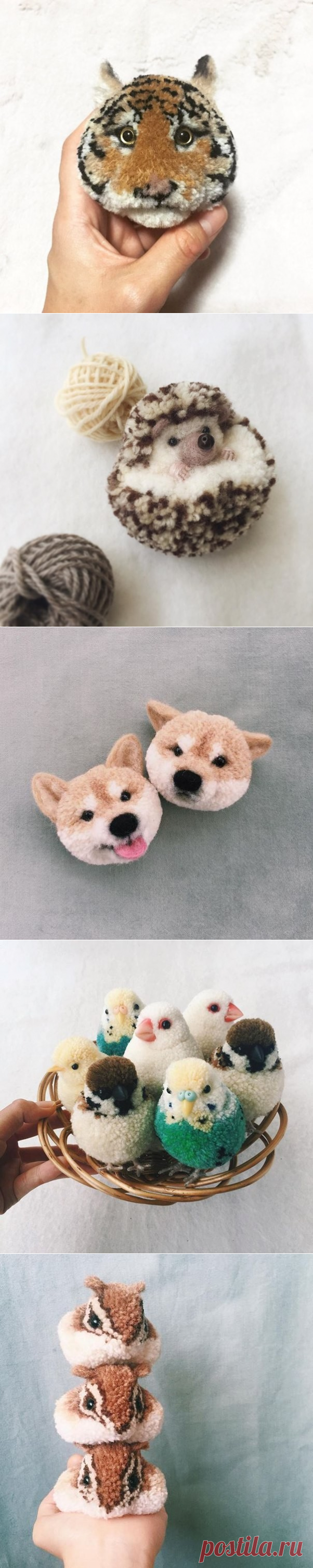 (75) Одноклассники