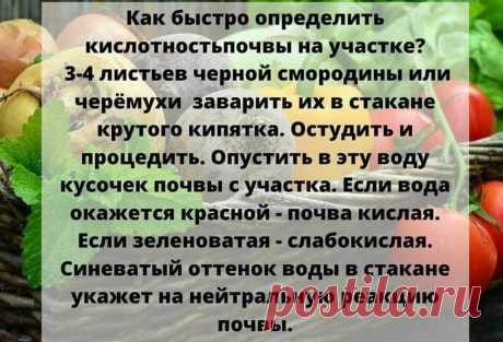(20+) Facebook
