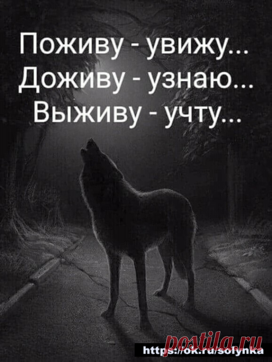 поживу