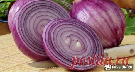 О пользе красного лука - Кулинария