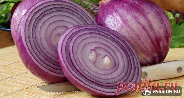 О пользе красного лука - Кулинария
