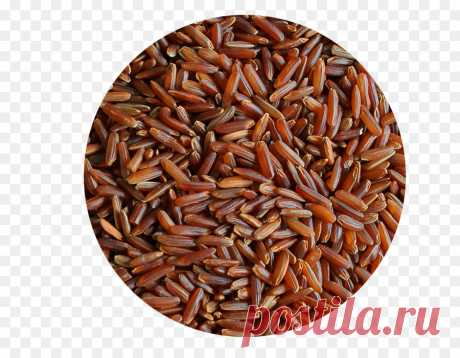 Эскулап: О пользе коричневого риса