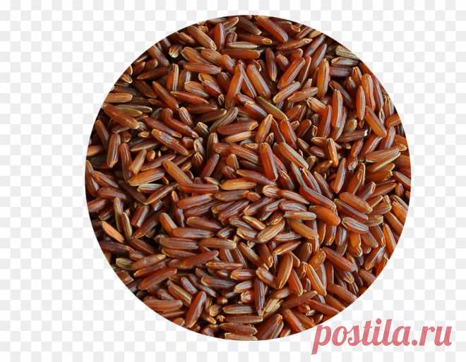 Эскулап: О пользе коричневого риса