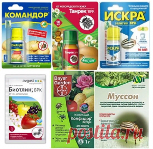 Как правильно и когда проводить листовую обработку?