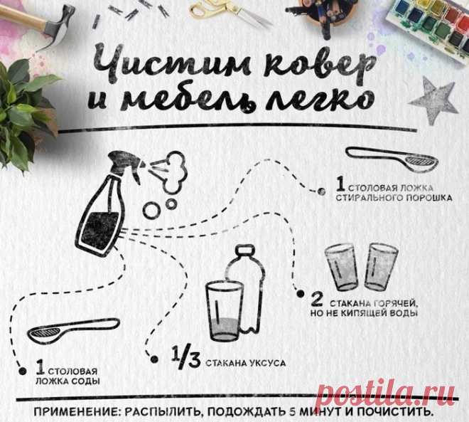 Как легко отчистить ковер и мебель