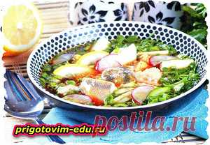 Рыбная окрошка (окунь, треска, белуга, осетр, севрюга) — Кулинарные рецепты с фото и видео