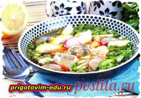Рыбная окрошка (окунь, треска, белуга, осетр, севрюга) — Кулинарные рецепты с фото и видео