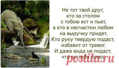 ♕ МУЗЫКАЛЬНЫЕ КЛИПЫ И ХОРОШЕЕ НАСТРОЕНИЕ ♕. Добавлена фотография в альбом ☜♡☞ Статусы и афоризмы ☜♡☞