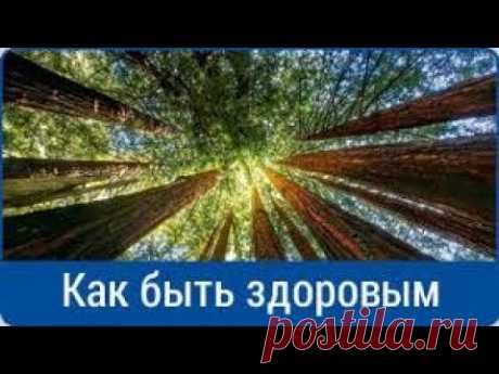 Позвоночник - лечение остеохондроза .