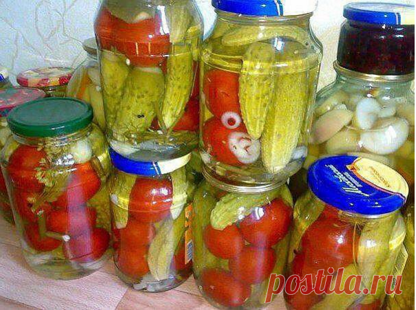 КОПИЛКА ДАЧНЫХ СОВЕТОВ