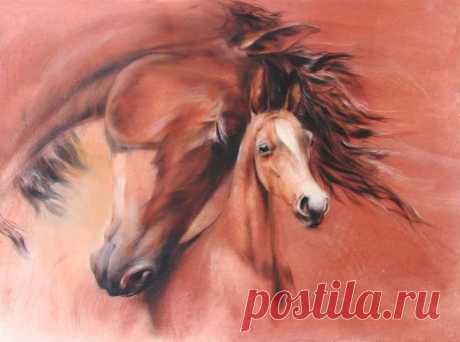 Материнская любовь - фотографии - equestrian.ru