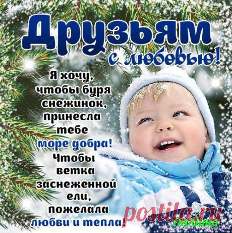 DLY7chnfNnI.jpg (499×500)