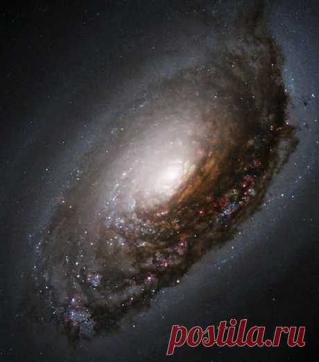 (+1) тема - фотографии Вселенной, снятые с помощью телескопа Hubble | Наука и техника